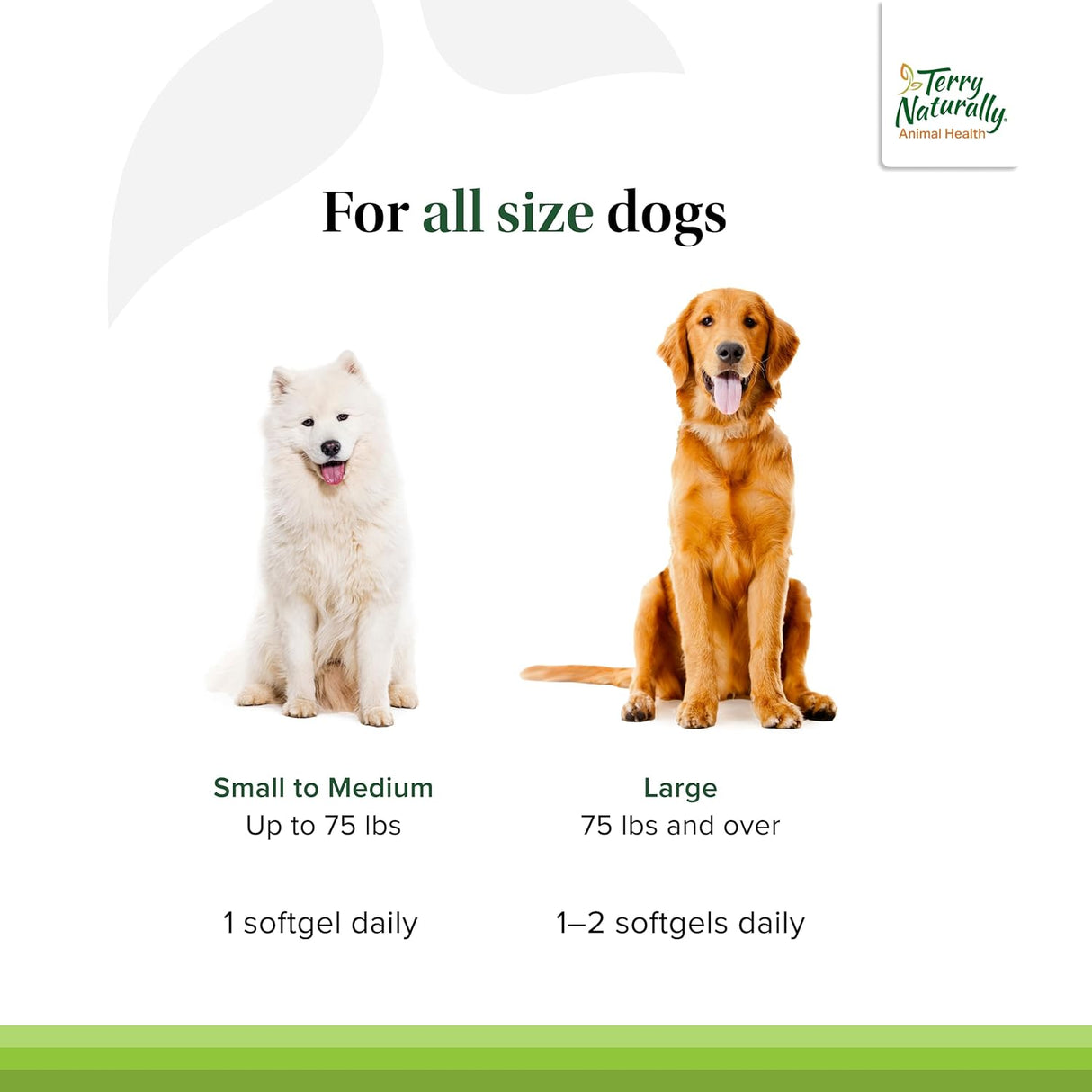 Terry Naturally Curacel Curcumin Health Supplement for Dogs 60 Capsulas Blandas