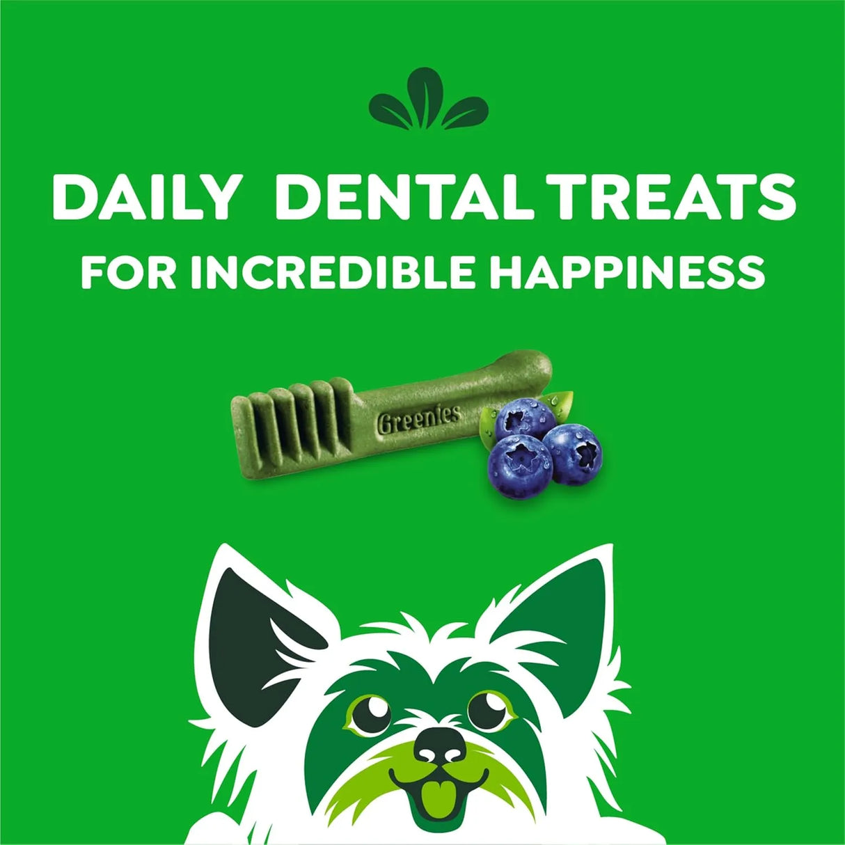 GREENIES - Greenies Teenie Natural Dental Care Dog Treats Blueberry Flavor 43 Piezas - The Red Vitamin MX - Cuidado Dental Para Perros - {{ shop.shopifyCountryName }}