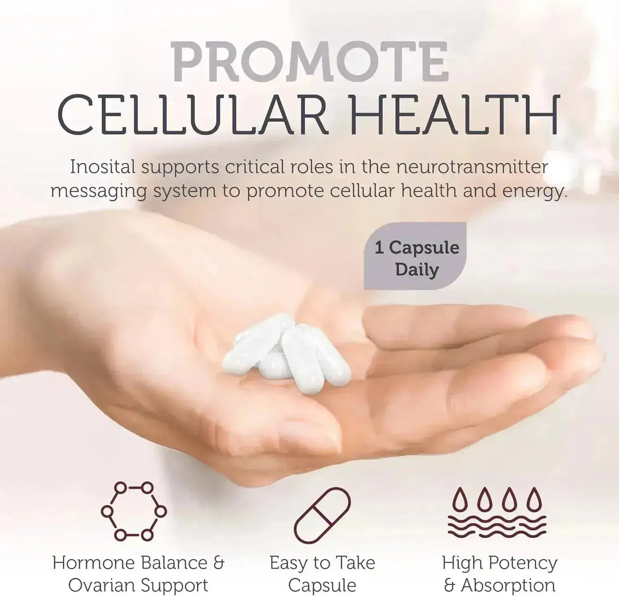 ZAHLER - Zahler Inositol 1000Mg. 120 Capsulas - The Red Vitamin MX - Suplementos Alimenticios - {{ shop.shopifyCountryName }}