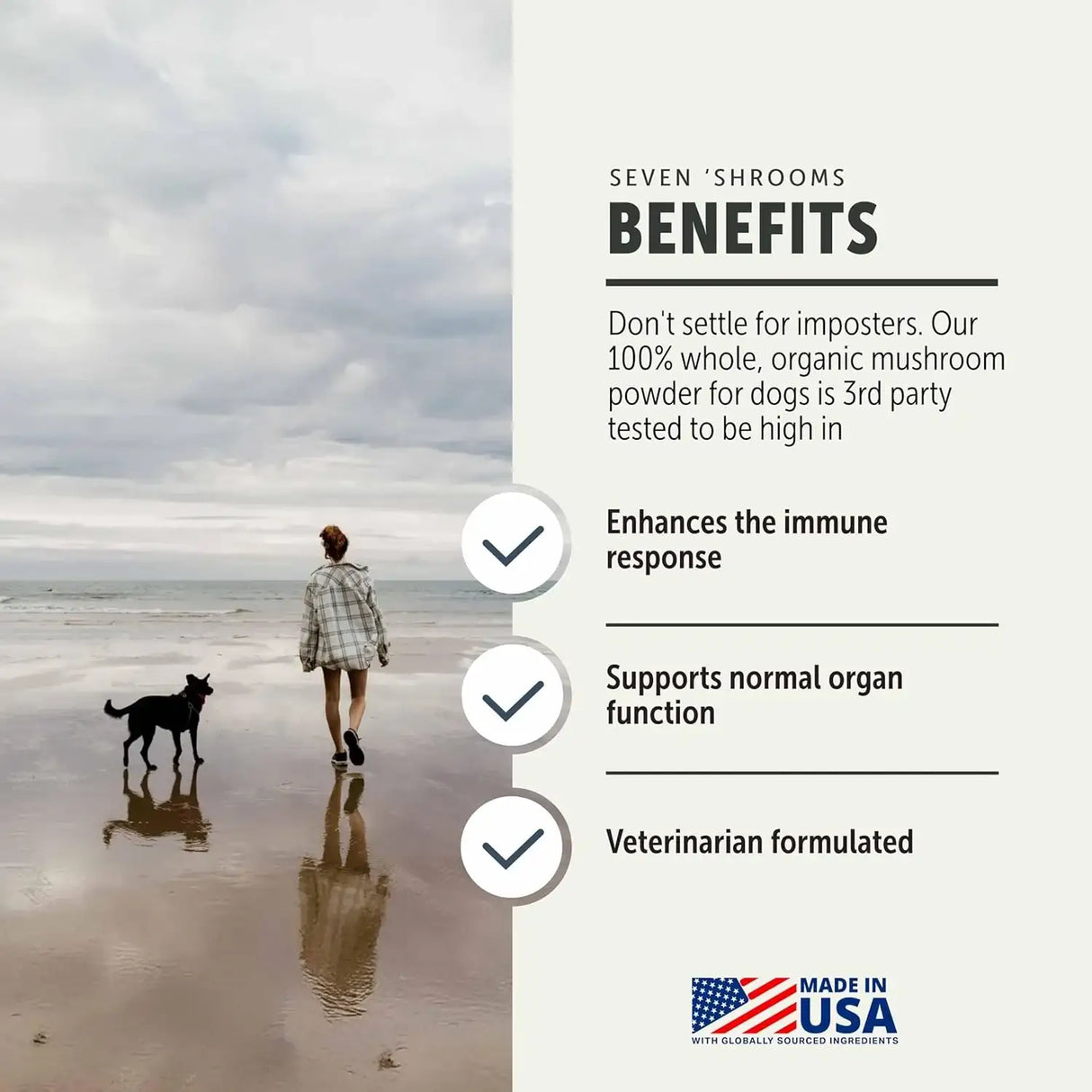 FOUR LEAF ROVER - FOUR LEAF ROVER Seven Shrooms Organic Mushroom Supplement for Dogs 51Gr. - The Red Vitamin MX - Suplementos Herbales Para Perros - {{ shop.shopifyCountryName }}