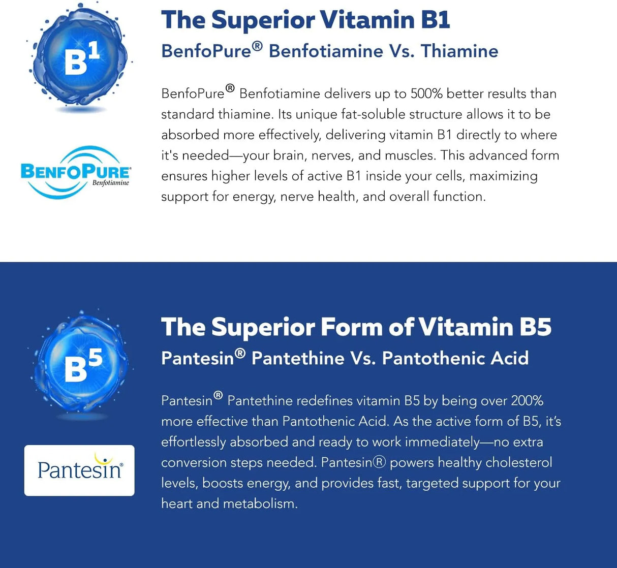 TRIQUETRA - Triquetra Health BioActive Vitamin B Complex 60 Capsulas - The Red Vitamin MX - Suplementos Alimenticios - {{ shop.shopifyCountryName }}
