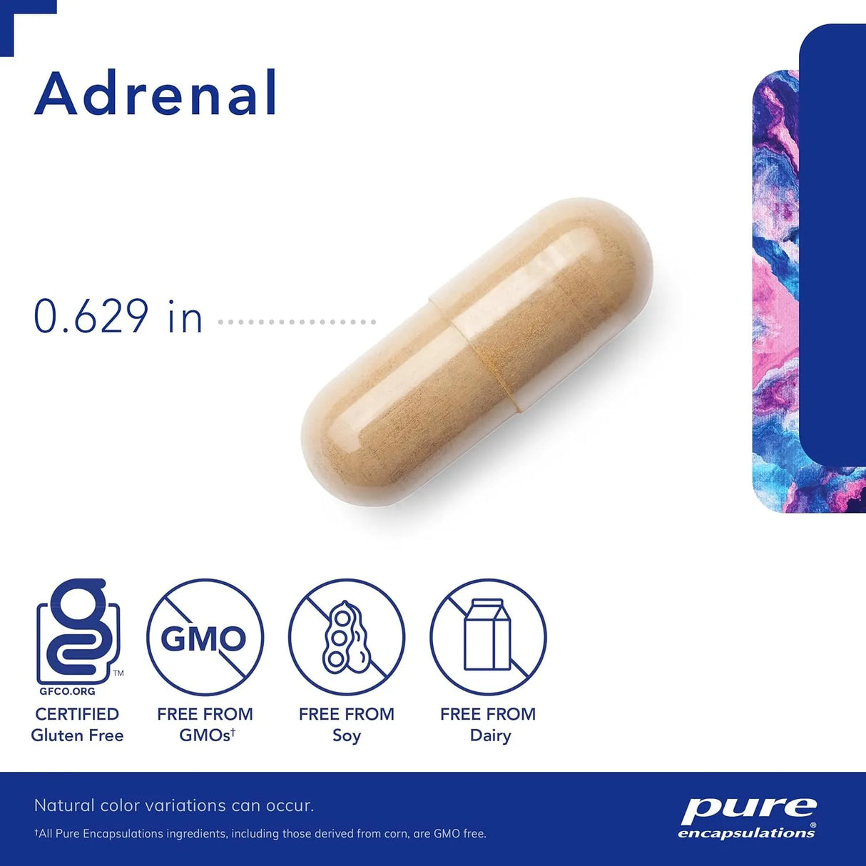 PURE ENCAPSULATIONS - Pure Encapsulations Adrenal 60 Capsulas - The Red Vitamin MX - Suplementos Alimenticios - {{ shop.shopifyCountryName }}