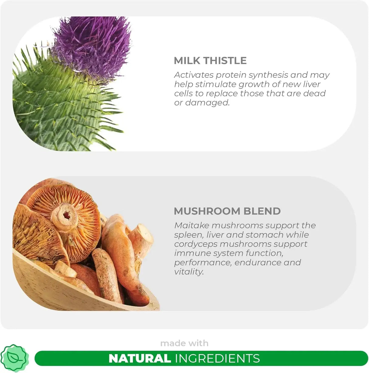 COCO AND LUNA - Coco and Luna Mushroom Complex for Dogs 120 Tabletas - The Red Vitamin MX - Suplementos Herbales Para Perros - {{ shop.shopifyCountryName }}