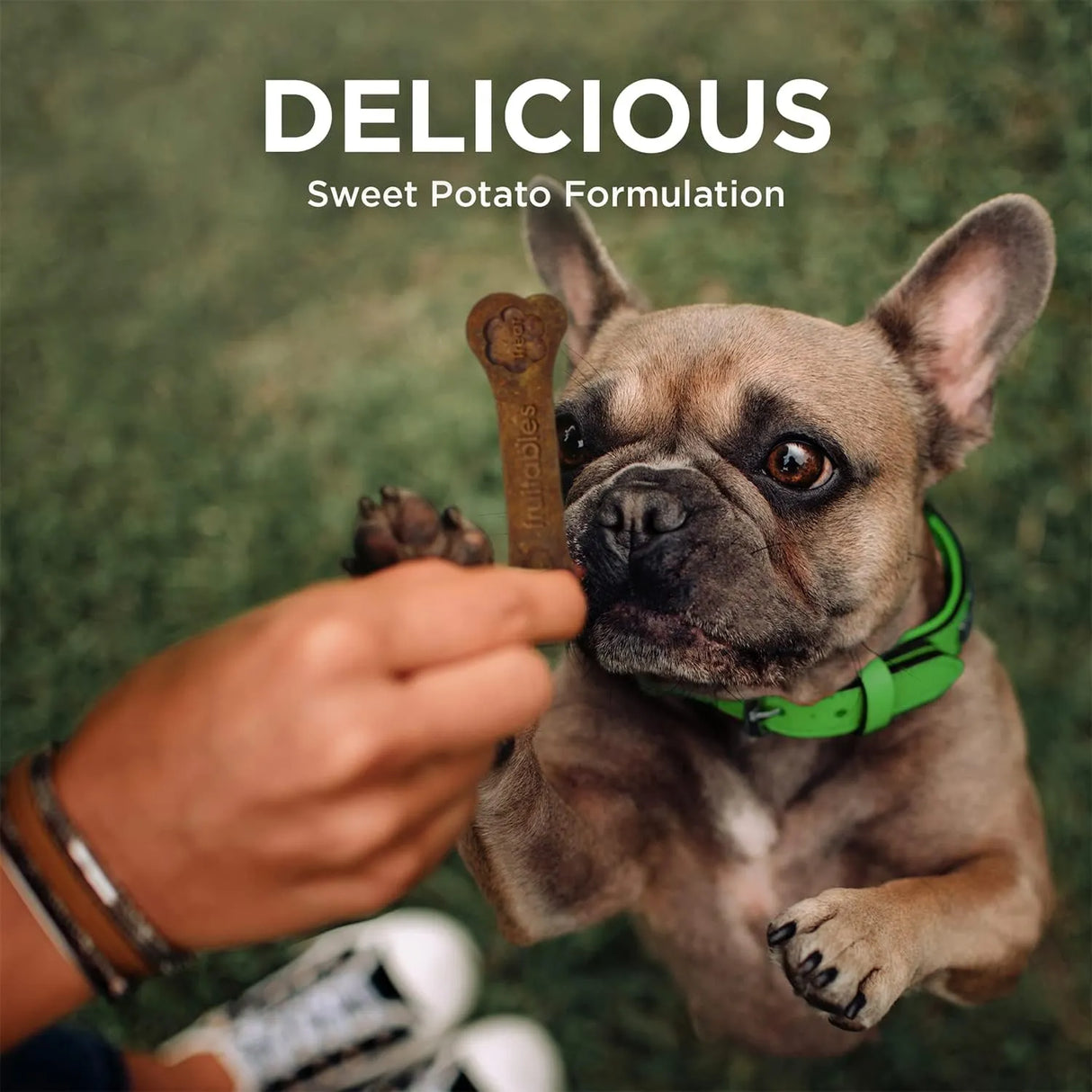 FRUITABLES - Fruitables 15 Count BioActive Fresh Mouth Dental Chews Small 15 Piezas - The Red Vitamin MX - Cuidado Dental Para Perros - {{ shop.shopifyCountryName }}