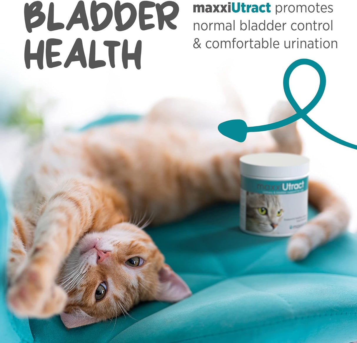 maxxipaws maxxiUtract Urinary & Bladder Support Powder 2.1 Oz.