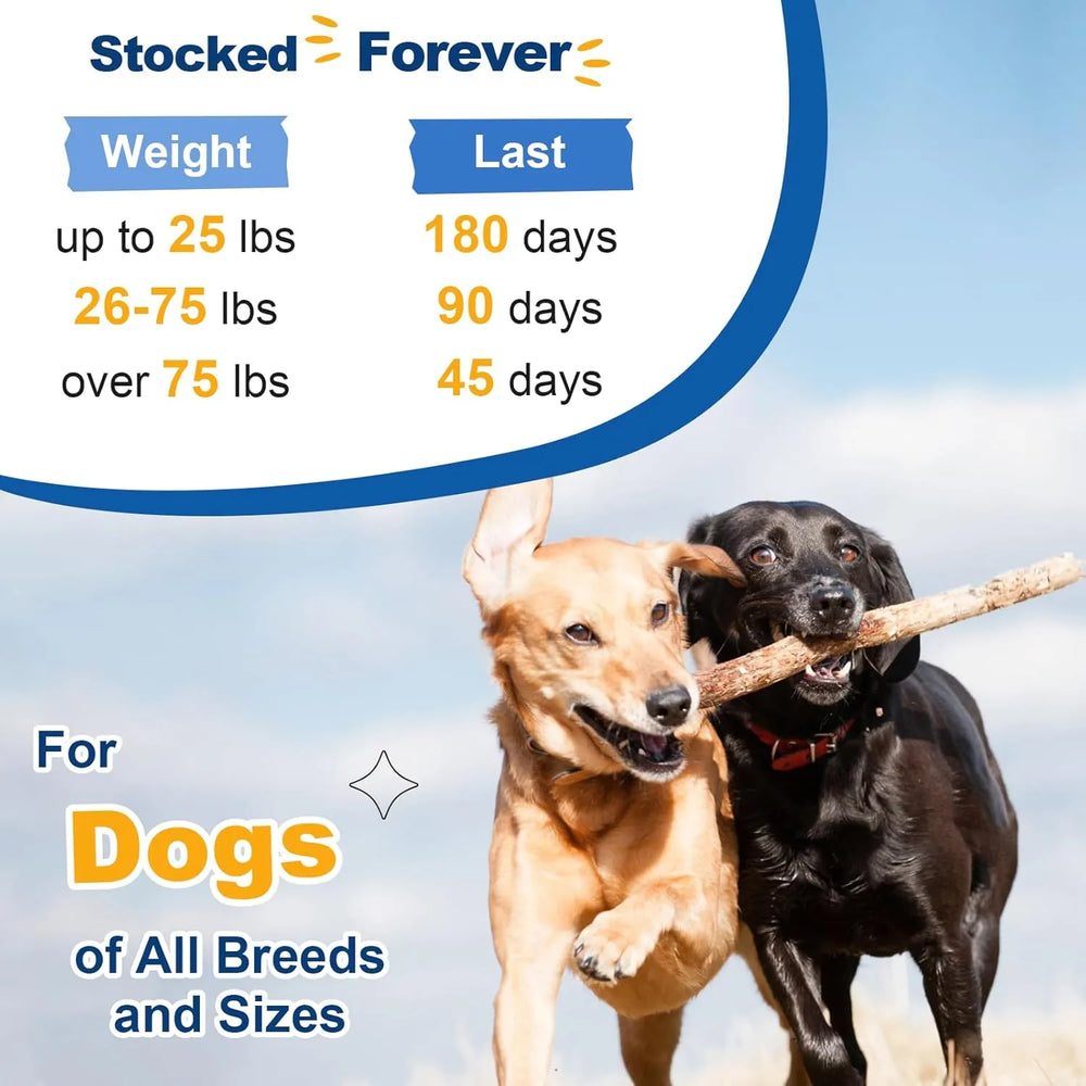 SHINEPAWS - SHINEPAWS Dog Multivitamin Powder 90 Servicios 270Gr. - The Red Vitamin MX - Multivitamínicos Para Perros - {{ shop.shopifyCountryName }}
