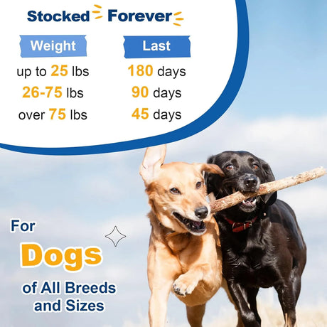 SHINEPAWS - SHINEPAWS Dog Multivitamin Powder 90 Servicios 270Gr. - The Red Vitamin MX - Multivitamínicos Para Perros - {{ shop.shopifyCountryName }}