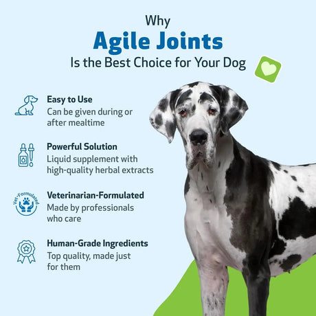 PET WELLBEING - Pet Wellbeing Agile Joints for Dogs 2 Fl.Oz. - The Red Vitamin MX - Cuidado De Cadera Y Articulaciones Para Perros - {{ shop.shopifyCountryName }}