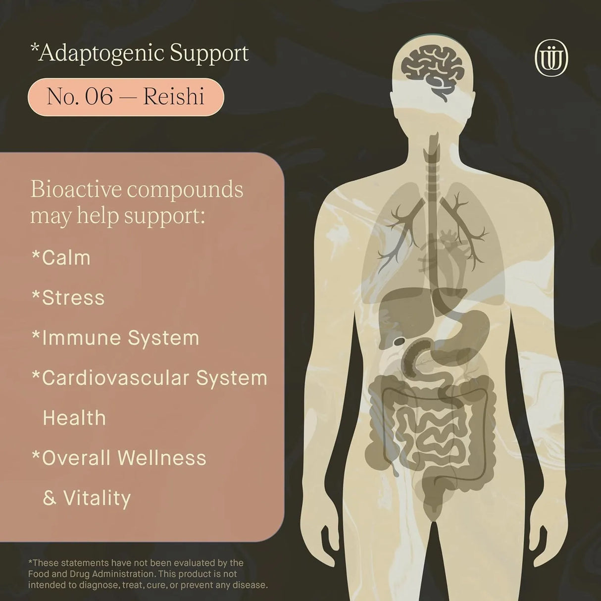 UPHORIC URTH - UPHORIC URTH Reishi Mushroom Extract 2 Fl.Oz. - The Red Vitamin MX - Suplementos Alimenticios - {{ shop.shopifyCountryName }}