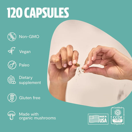 FRESHCAP - FreshCap 4-in-1 Focus with Lions Mane Extract and Ginseng 120 Capsulas - The Red Vitamin MX - Suplementos Alimenticios - {{ shop.shopifyCountryName }}