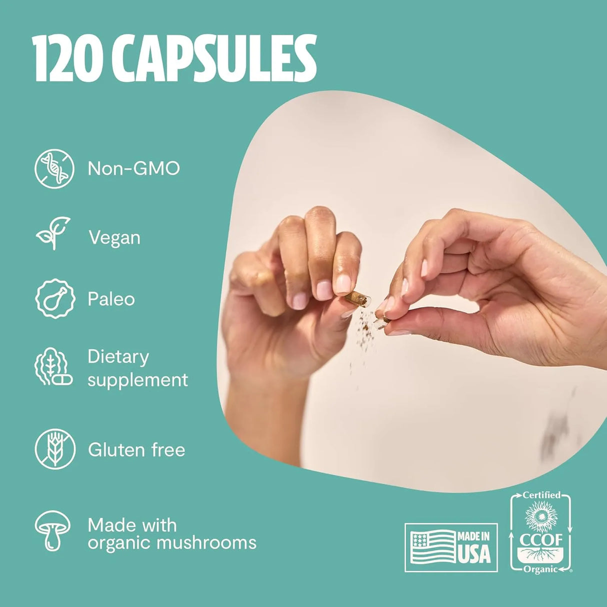 FRESHCAP - FreshCap 4-in-1 Focus with Lions Mane Extract and Ginseng 120 Capsulas - The Red Vitamin MX - Suplementos Alimenticios - {{ shop.shopifyCountryName }}