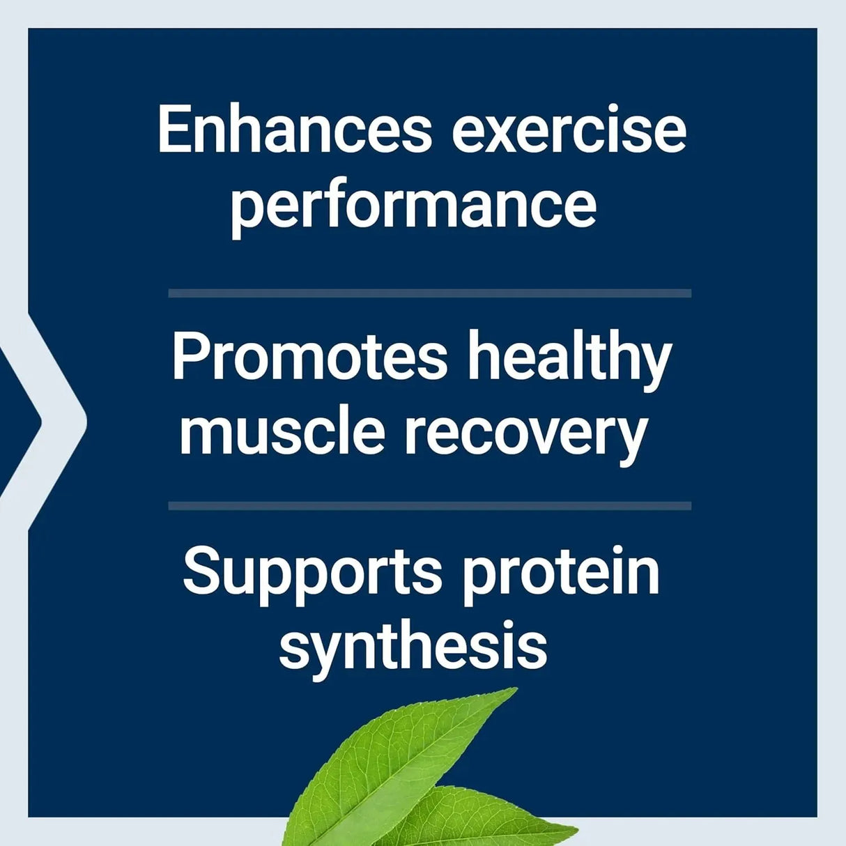 LIFE EXTENSION - Life Extension Branched Chain Amino Acids BCAAs 90 Capsulas - The Red Vitamin MX - Suplementos Alimenticios - {{ shop.shopifyCountryName }}