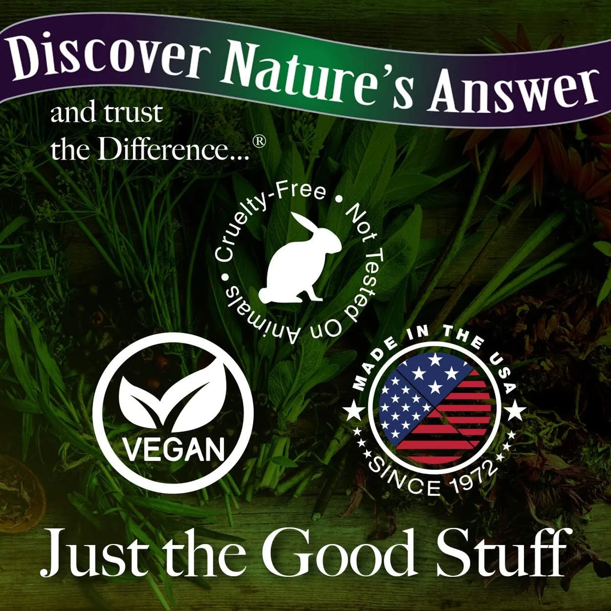 NATURE´S ANSWER - Nature's Answer Reishi Mushroom 60 Capsulas - The Red Vitamin MX - Suplementos Alimenticios - {{ shop.shopifyCountryName }}