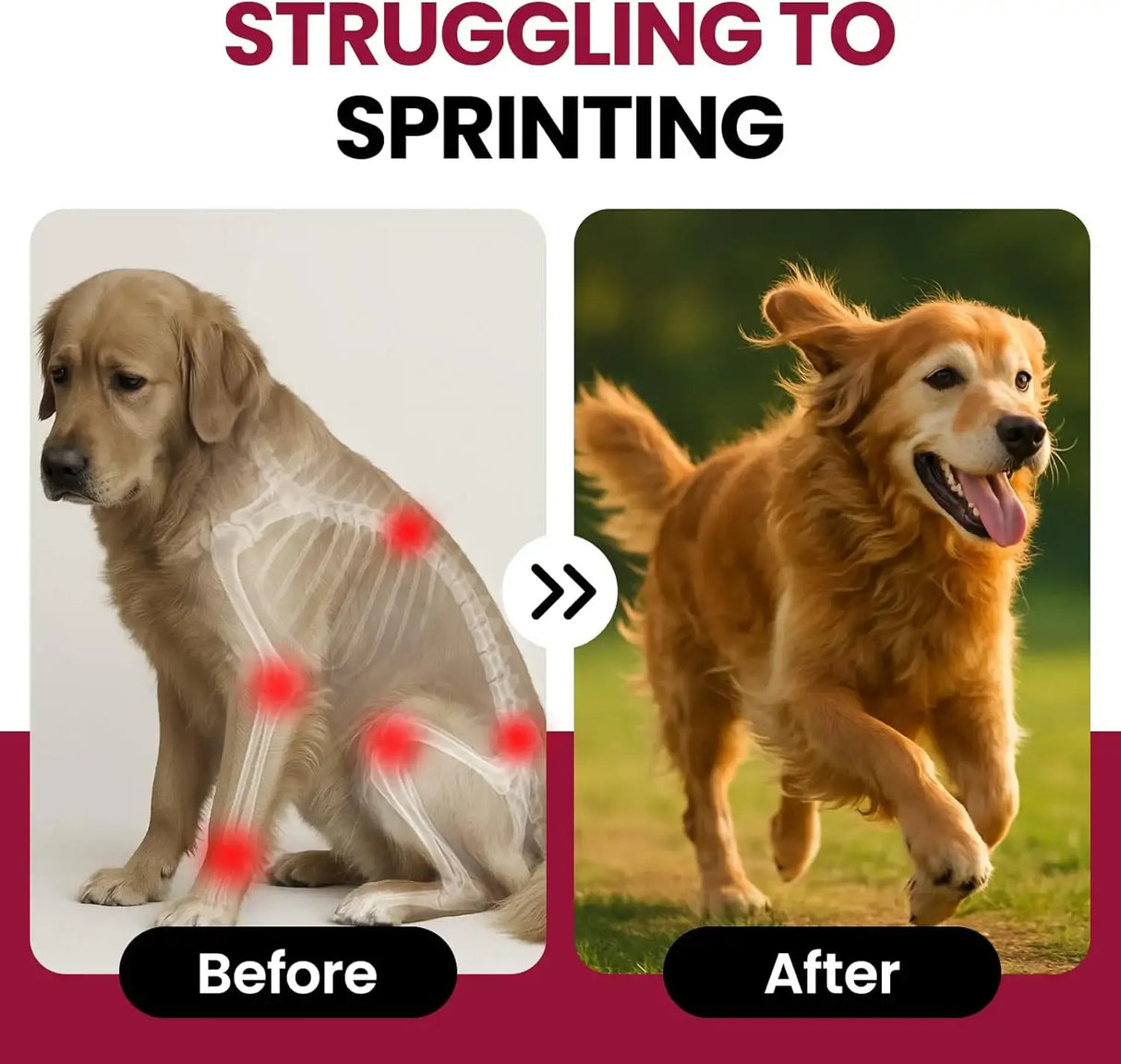 BUDDYCHEER - BuddyCheer Glucosamine for Dogs Hip and Joint Supplement Chews 180 Masticables - The Red Vitamin MX - Cuidado De Cadera Y Articulaciones Para Perros - {{ shop.shopifyCountryName }}