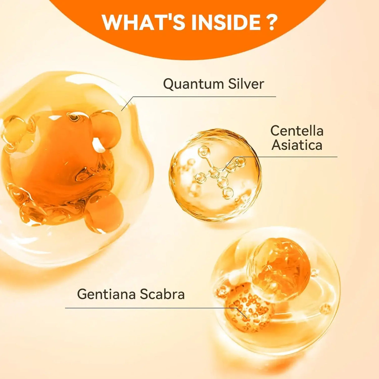 PUAINTA - PUAINTA Hot Spot Spray for Dogs 2 Fl.Oz. - The Red Vitamin MX - Remedios Para La Picazón De Perros - {{ shop.shopifyCountryName }}