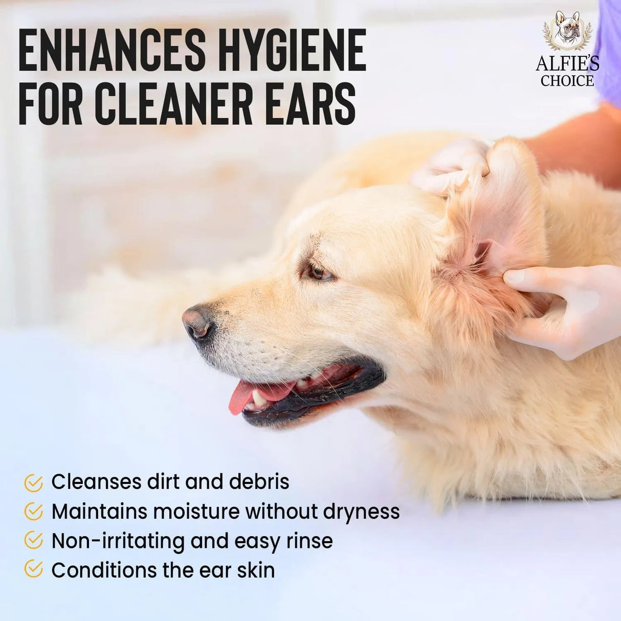 ALFIE'S CHOICE - ALFIE'S CHOICE Dog Ear Wash Cleaner 16 Fl.Oz. - The Red Vitamin MX - Cuidado Del Oído De Perros - {{ shop.shopifyCountryName }}