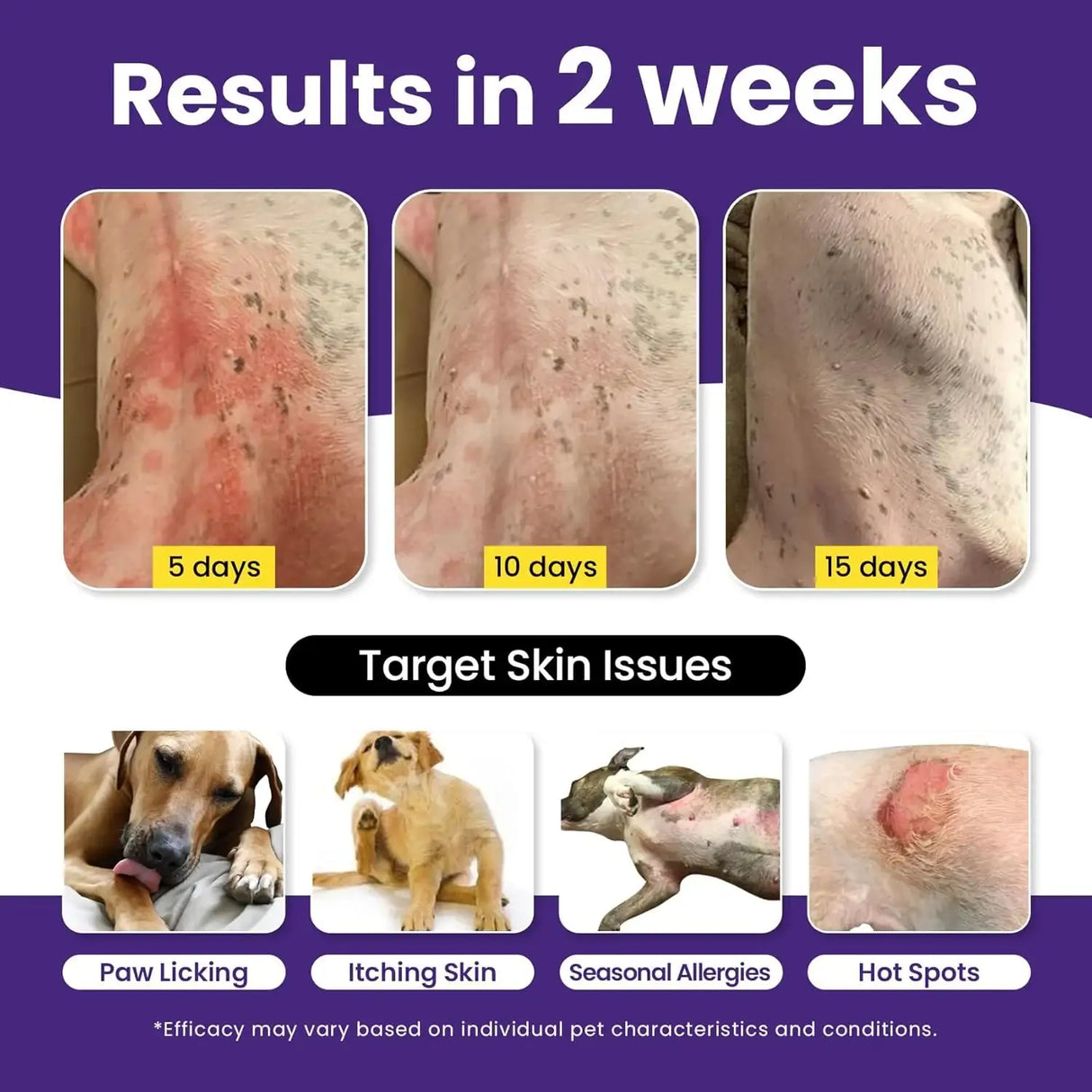 BUDDYCHEER - BuddyCheer Dog Allergy Skin Relief Chews for HotSpot & Dry Skin 180 Masticables - The Red Vitamin MX - Remedios Para La Picazón De Perros - {{ shop.shopifyCountryName }}