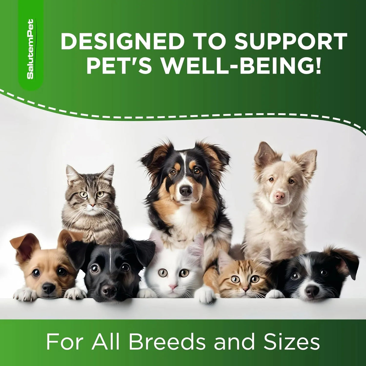 SALUTEMPET - SalutemPet Liquid Multivitamin for Dogs 2 Fl.Oz. - The Red Vitamin MX - Multivitamínicos Para Perros - {{ shop.shopifyCountryName }}