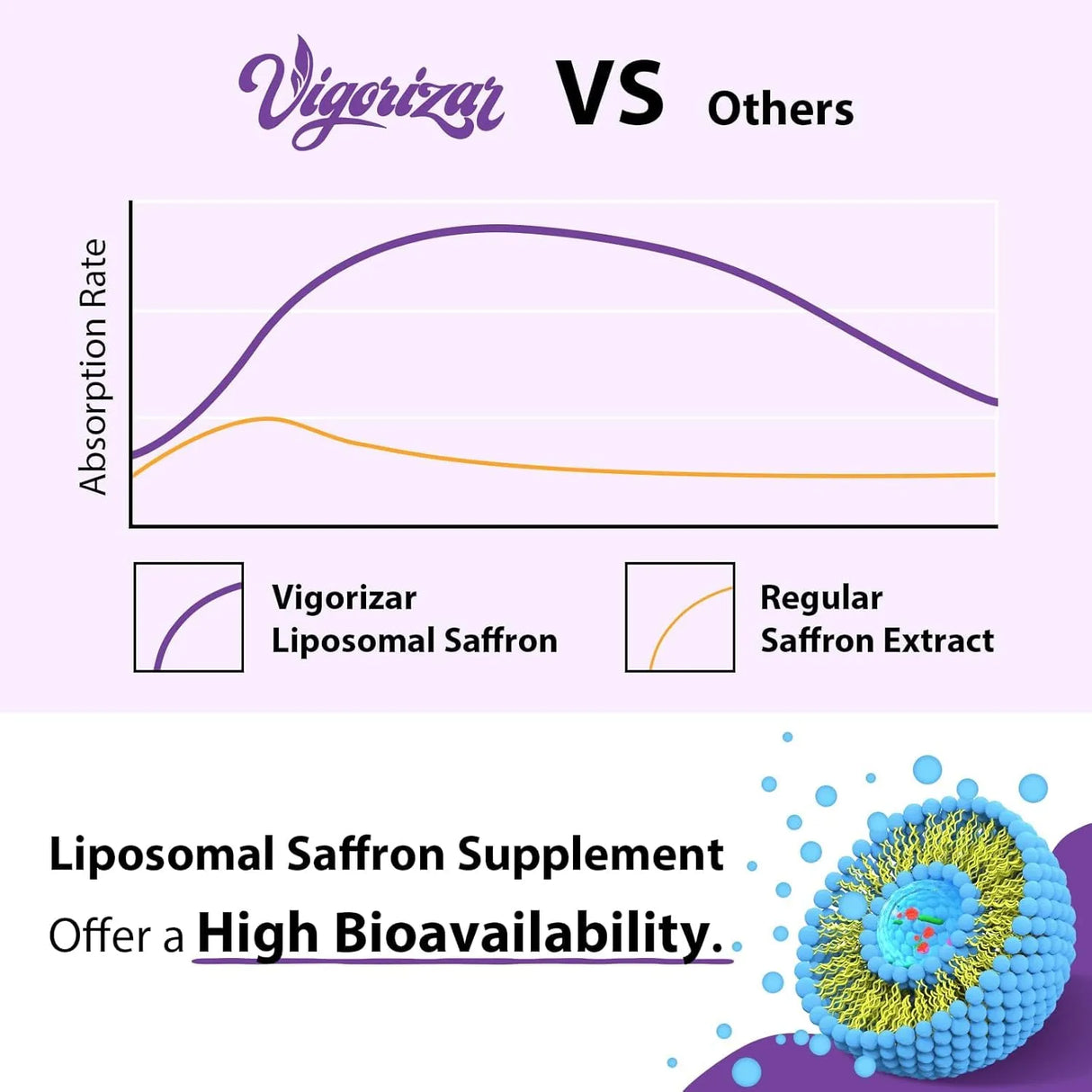 VIGORIZAR - Vigorizar Liposomal Saffron 60 Capsulas 2 Pack - The Red Vitamin MX - Suplementos Alimenticios - {{ shop.shopifyCountryName }}