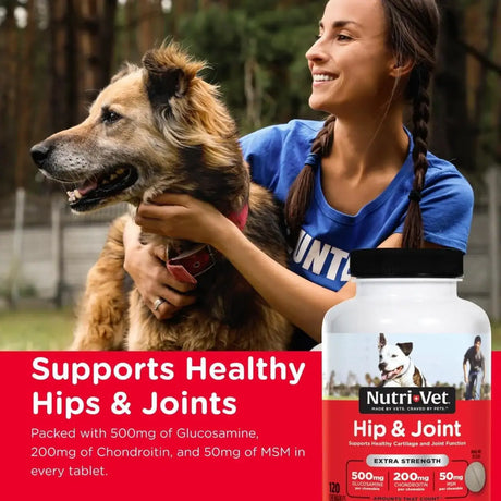 NUTRI-VET - Nutri-Vet Hip & Joint Chewable Dog Extra Strength 120 Tabletas Masticables - The Red Vitamin MX - Cuidado De Cadera Y Articulaciones Para Perros - {{ shop.shopifyCountryName }}