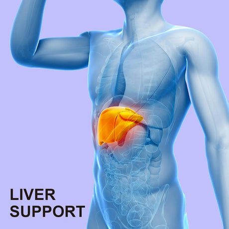 WELL&WHOLE - Well&Whole TUDCA 1000Mg. 60 Gomitas - The Red Vitamin MX - Suplementos Alimenticios - {{ shop.shopifyCountryName }}