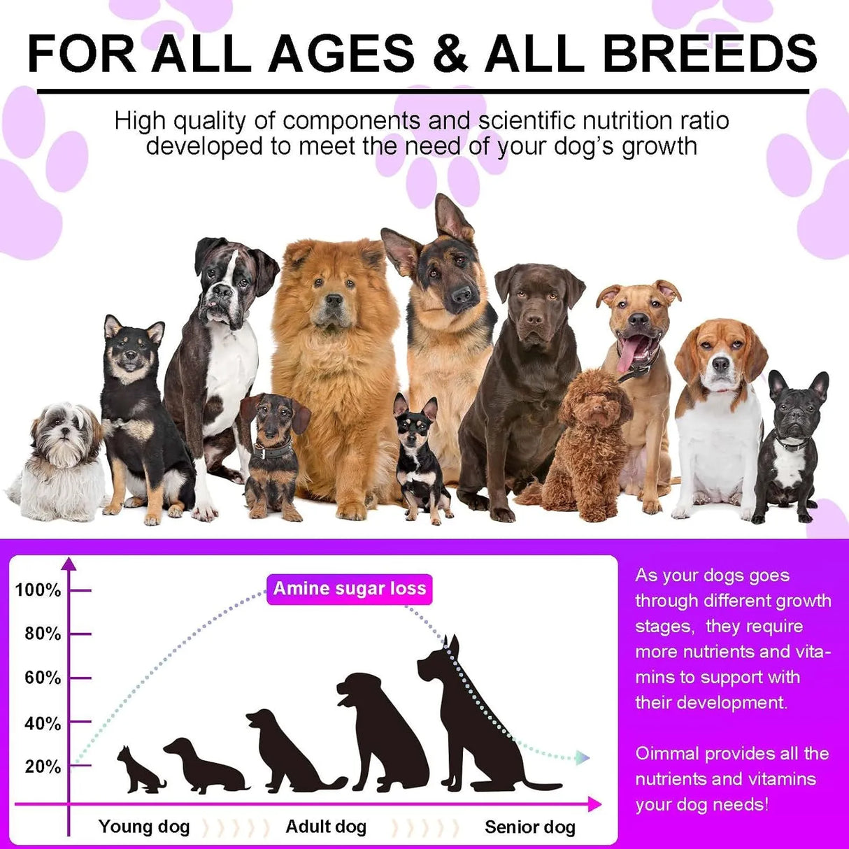 FRDUGA - FRDUGA 15-in-1 Dog Multivitamin 150 Masticables - The Red Vitamin MX - Multivitamínicos Para Perros - {{ shop.shopifyCountryName }}