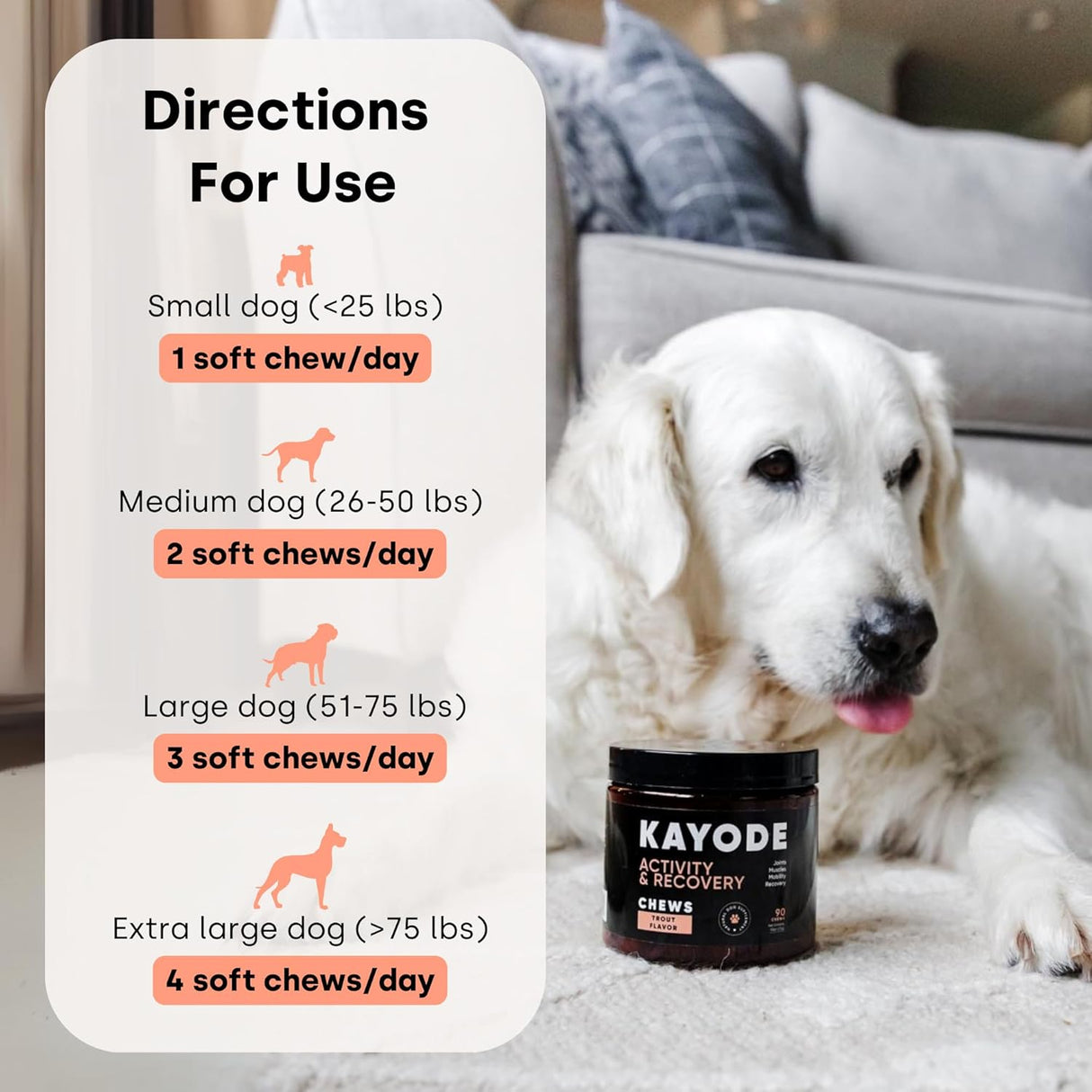 Kayode Joint & Recovery 2-in-1 Joint & Muscle Chews 90 Masticables