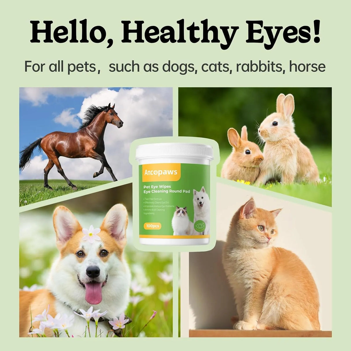ANCOPAWS - Ancopaws Eye Wipes for Dog & Cat 100 Toallitas - The Red Vitamin MX - Cuidado De Los Ojos De Los Perros - {{ shop.shopifyCountryName }}