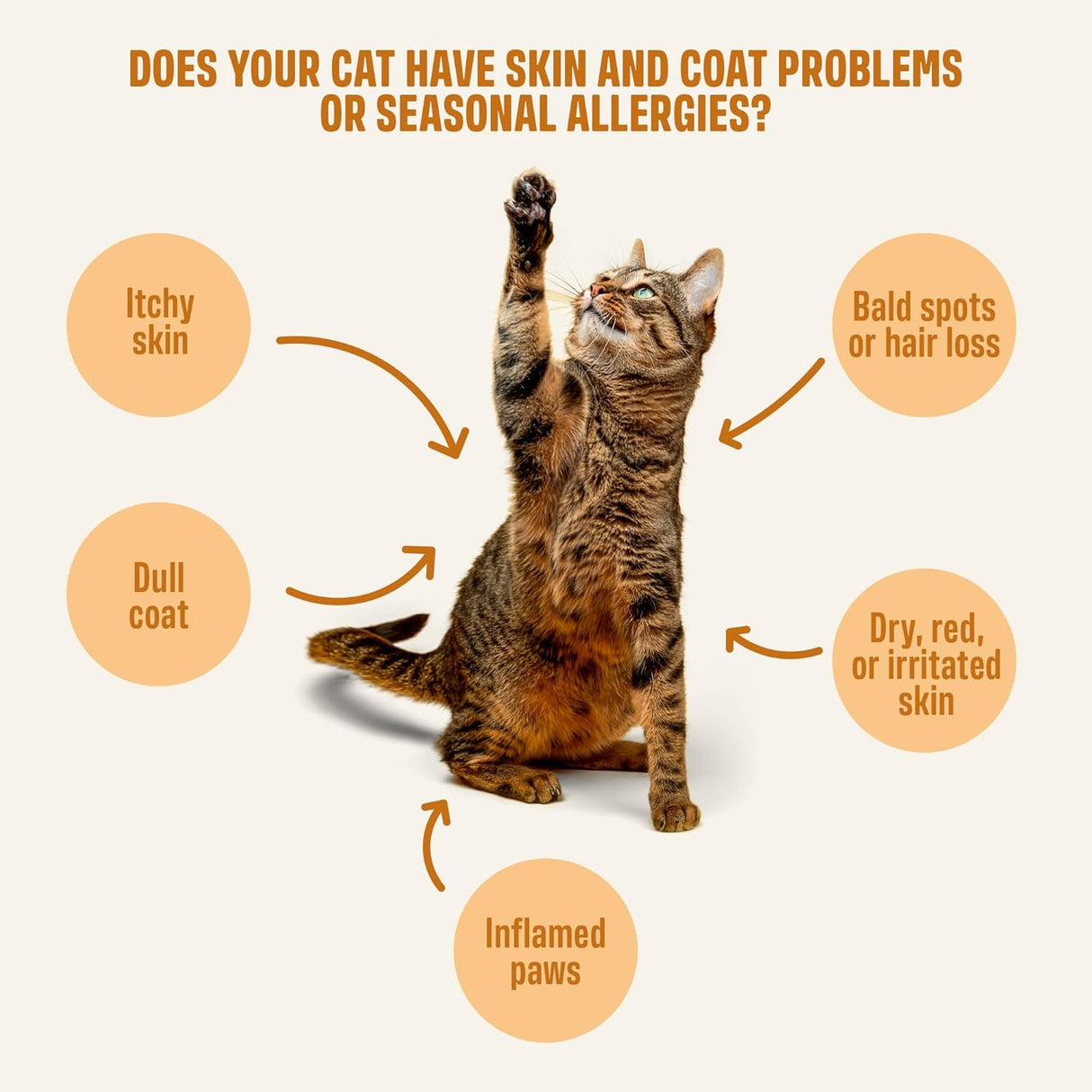ivvi Skin & Coat for Cats 30 Paquetes