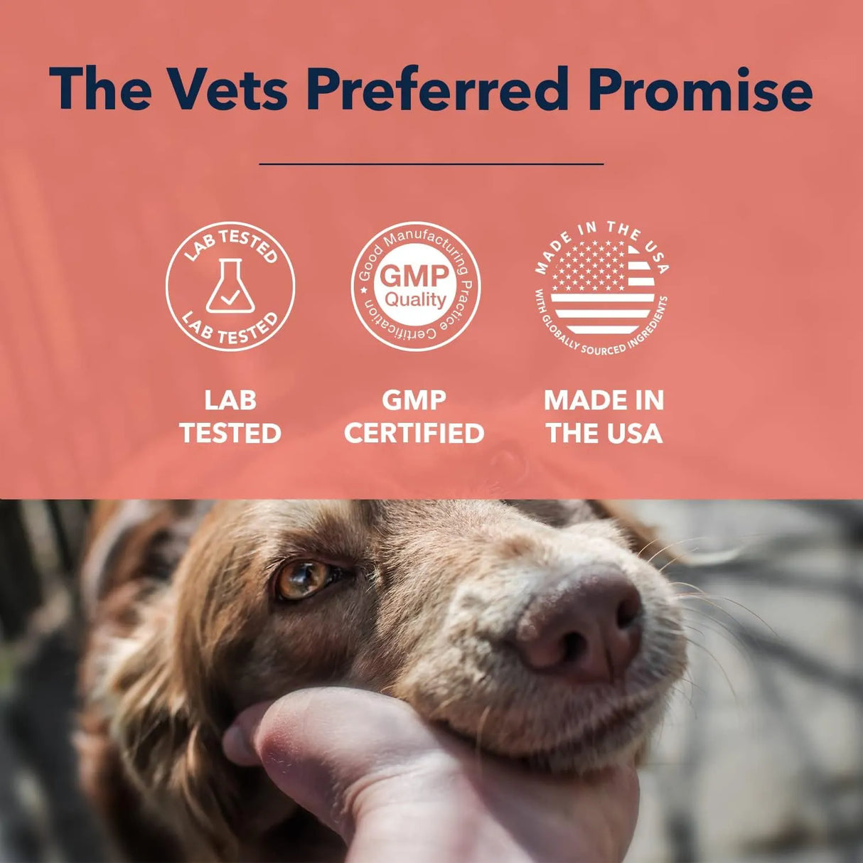 VETS PREFERRED - Vets Preferred Eye Cleaner for Dogs 4 Fl.Oz. - The Red Vitamin MX - Cuidado De Los Ojos De Los Perros - {{ shop.shopifyCountryName }}