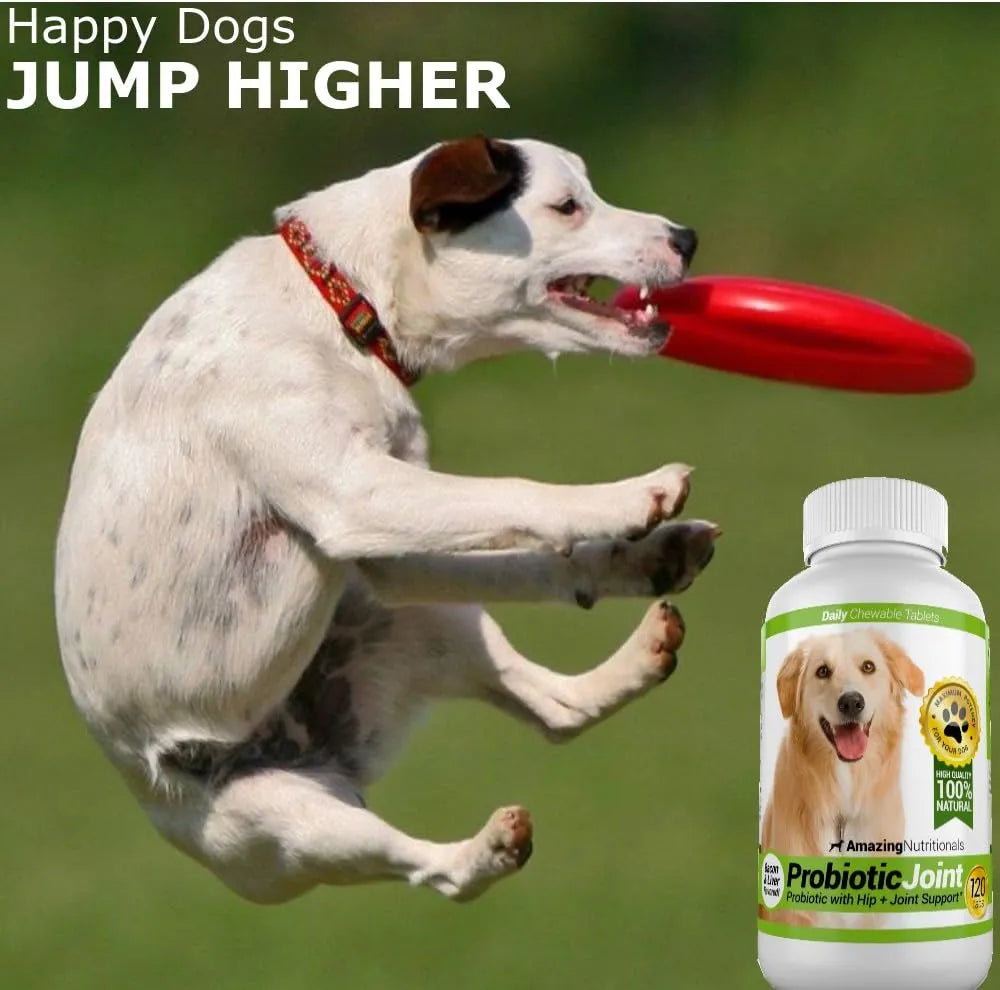 AMAZING NUTRITIONALS - Amazing Nutritionals Probiotics for Dogs 120 Masticables - The Red Vitamin MX - Probióticos Para Perros - {{ shop.shopifyCountryName }}