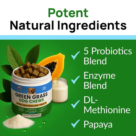 PAWFECTCHEW - PAWFECTCHEW Green Grass Dog Chews w/Probiotics 120 Masticables - The Red Vitamin MX - Salud De Tracto Urinario Para Perros - {{ shop.shopifyCountryName }}