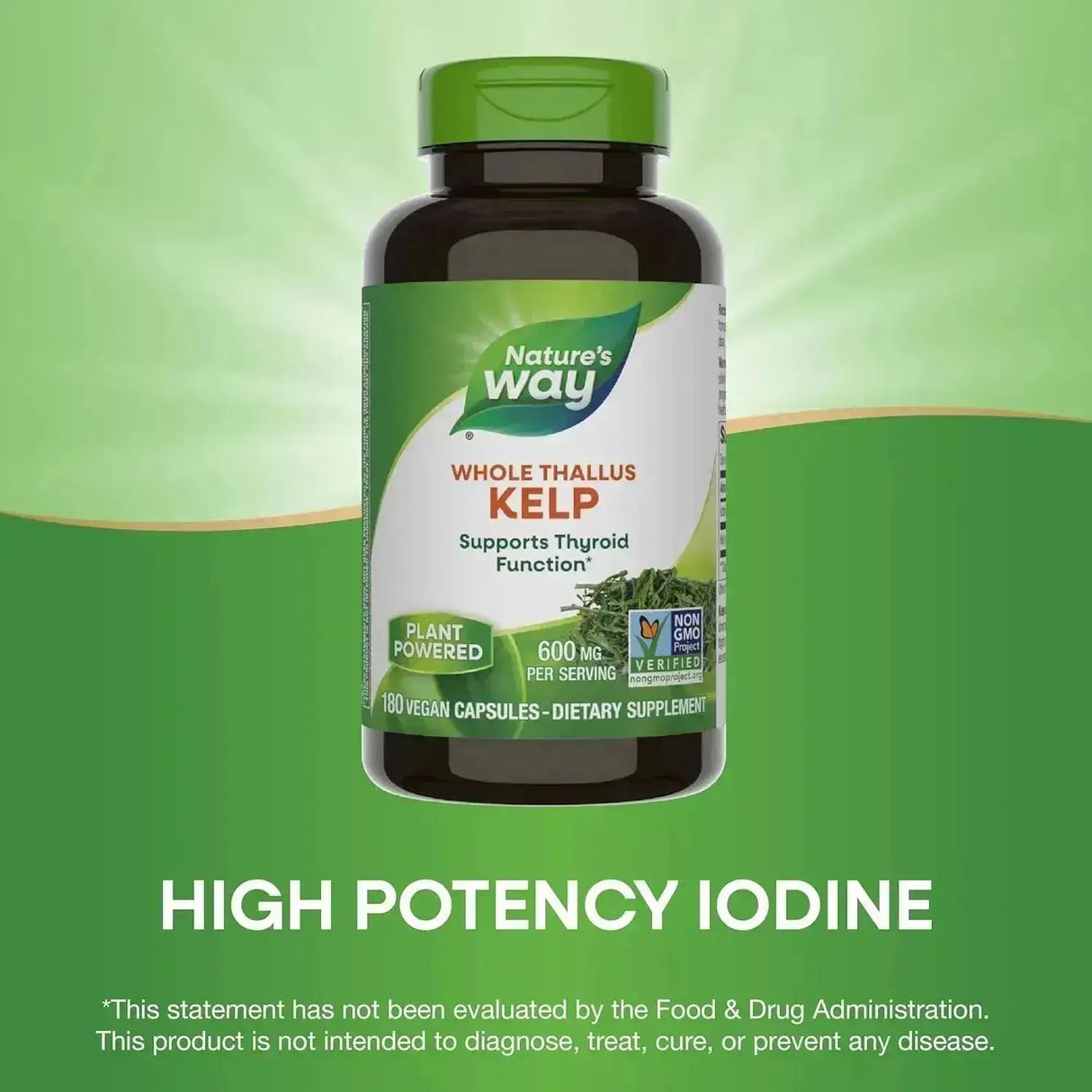 NATURE'S WAY - Nature's Way Kelp 600Mg. 180 Capsulas - The Red Vitamin MX - Suplementos Alimenticios - {{ shop.shopifyCountryName }}