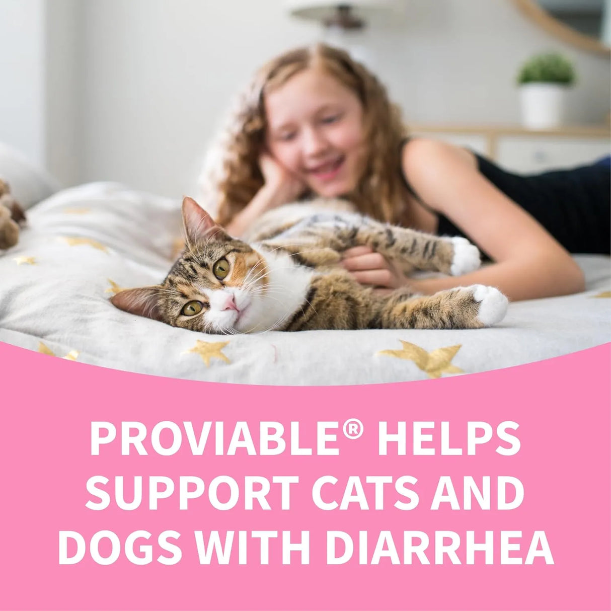 NUTRAMAX - Nutramax Proviable Probiotics for Dogs and Cats 80 Capsulas - The Red Vitamin MX - Probióticos Para Perros - {{ shop.shopifyCountryName }}