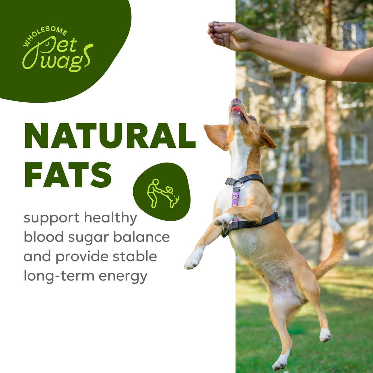 Wholesome Pet Wags Skin & Coat Soft Chews 60 Masticables