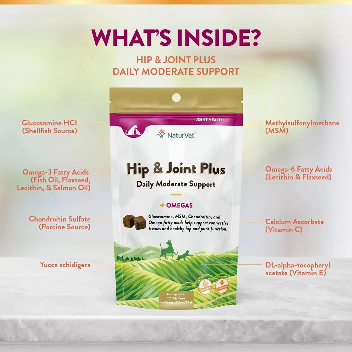NATURVET - NaturVet Hip & Joint Plus 120 Masticables - The Red Vitamin MX - Cuidado De Cadera Y Articulaciones Para Perros - {{ shop.shopifyCountryName }}