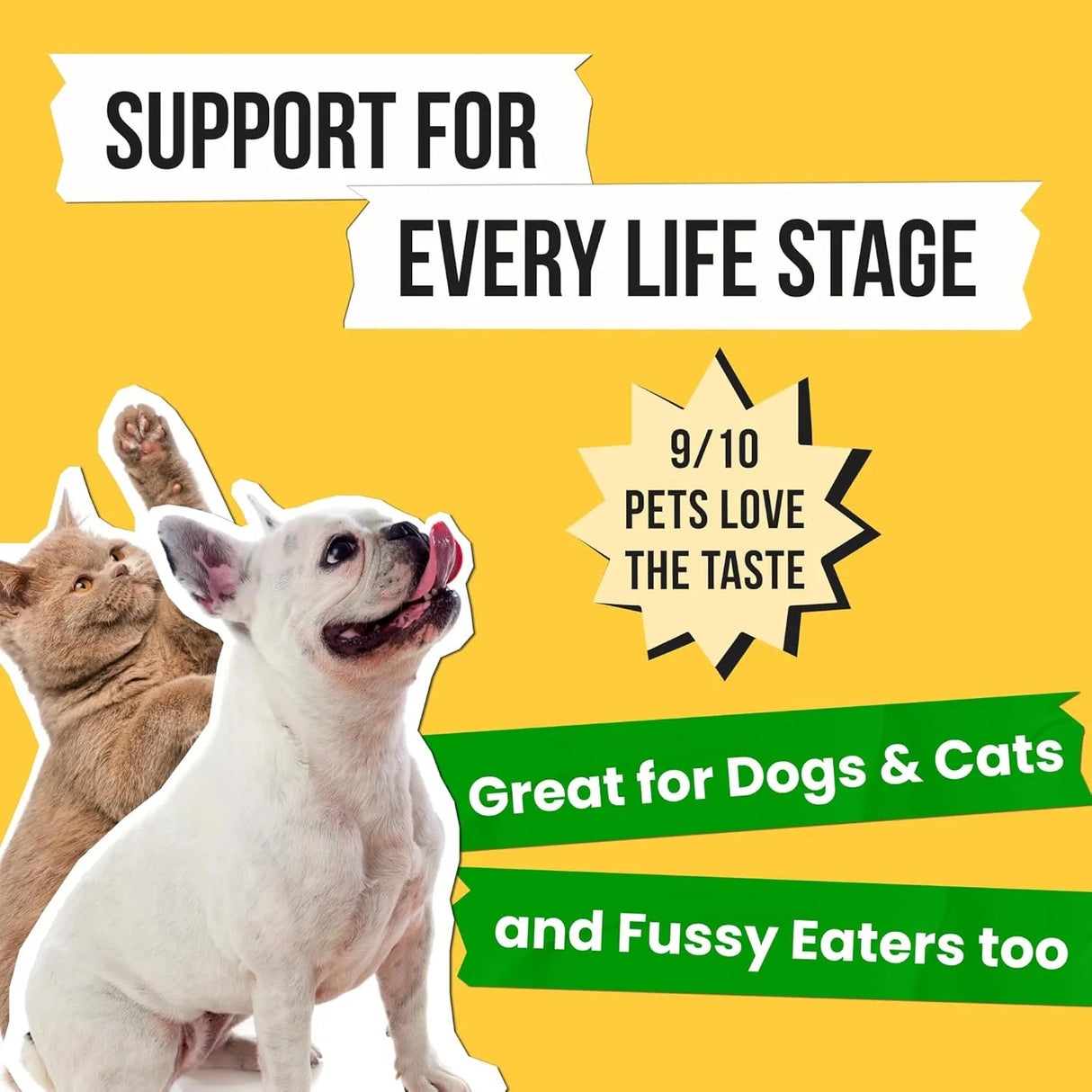 PAWSENTIAL - Pawsential Omega 3 Fish Oil for Dogs & Cats 16 Fl.Oz. - The Red Vitamin MX - Aceite De Pescado Para Perros - {{ shop.shopifyCountryName }}