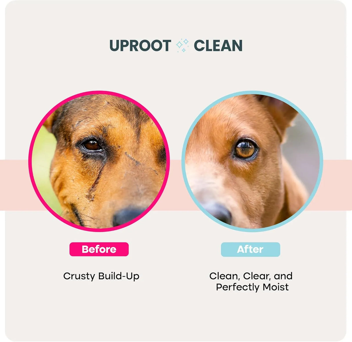 UPROOT - Uproot Clean Cat & Dog Eye Wipes: Hypoallergenic Eye Wipes for Dogs 100 Toallitas - The Red Vitamin MX - Cuidado De Los Ojos De Los Perros - {{ shop.shopifyCountryName }}