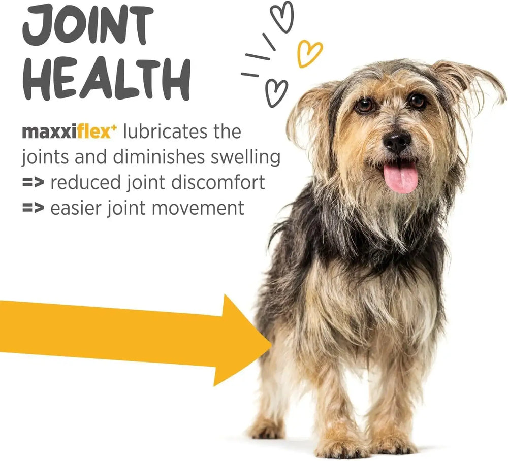 MAXXIPAWS - maxxipaws maxxiflex+ Hip & Joint Supplement for Dogs 60 Tabletas - The Red Vitamin MX - Cuidado De Cadera Y Articulaciones Para Perros - {{ shop.shopifyCountryName }}