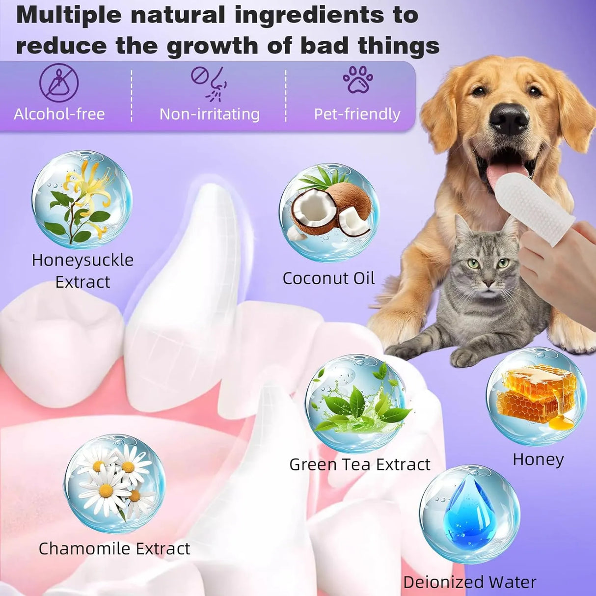 BOLYCEN - Bolycen Pet Dental Finger Wipes for Dogs & Cats Coconut 60 Toallitas - The Red Vitamin MX - Cuidado Dental Para Perros - {{ shop.shopifyCountryName }}