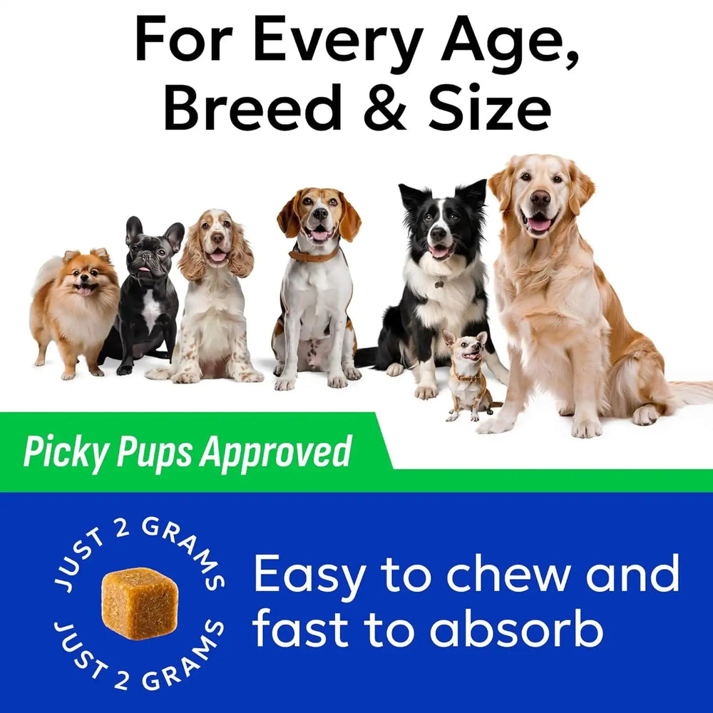 BARK&SPARK - BARK&SPARK Green Grass Chews 120 Masticables - The Red Vitamin MX - Salud De Tracto Urinario Para Perros - {{ shop.shopifyCountryName }}