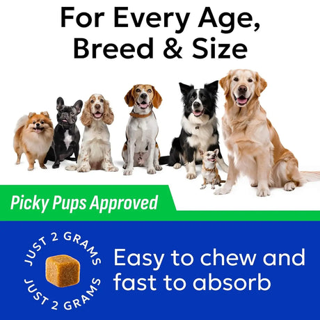 BARK&SPARK - BARK&SPARK Green Grass Chews 120 Masticables - The Red Vitamin MX - Salud De Tracto Urinario Para Perros - {{ shop.shopifyCountryName }}