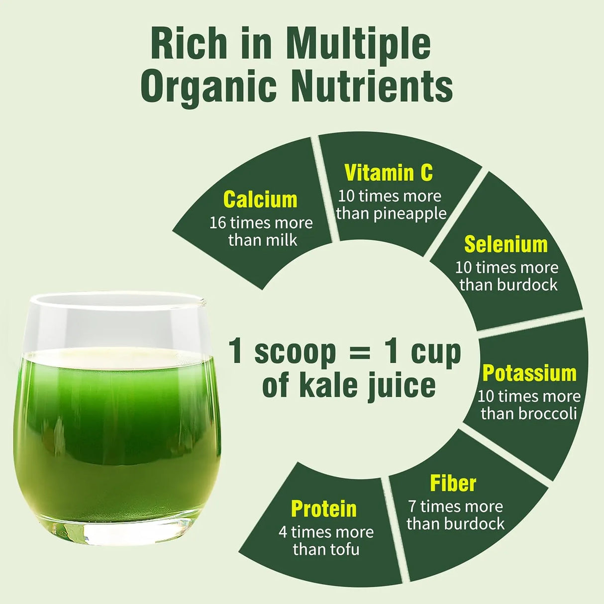 HUDETEX - Hudetex Kale Powder Organic 400Gr. - The Red Vitamin MX - Suplementos Alimenticios - {{ shop.shopifyCountryName }}