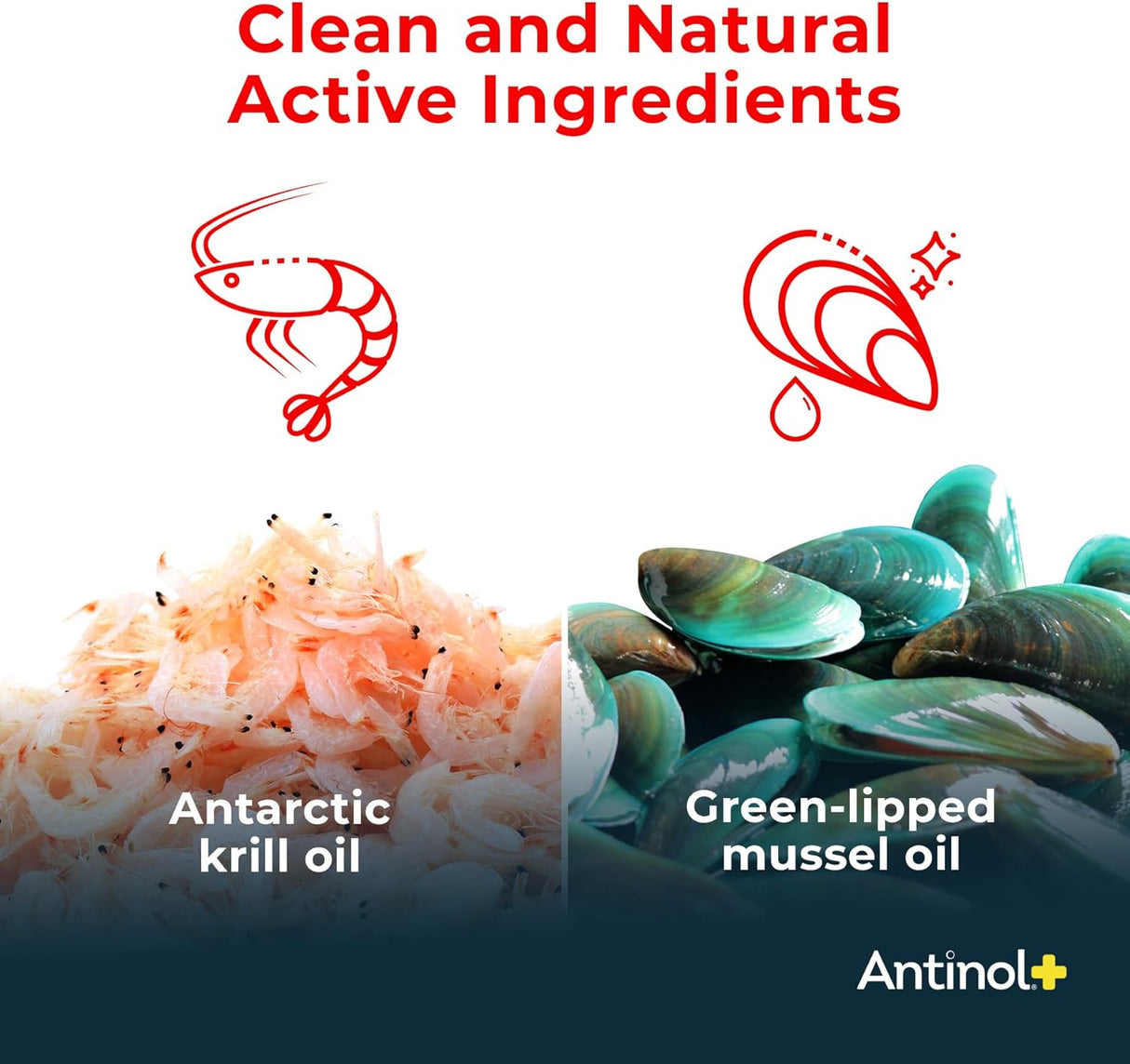 Antinol Plus Mobility Hip and Joint Supplement for Cats 30 Capsulas Blandas 2 Pack