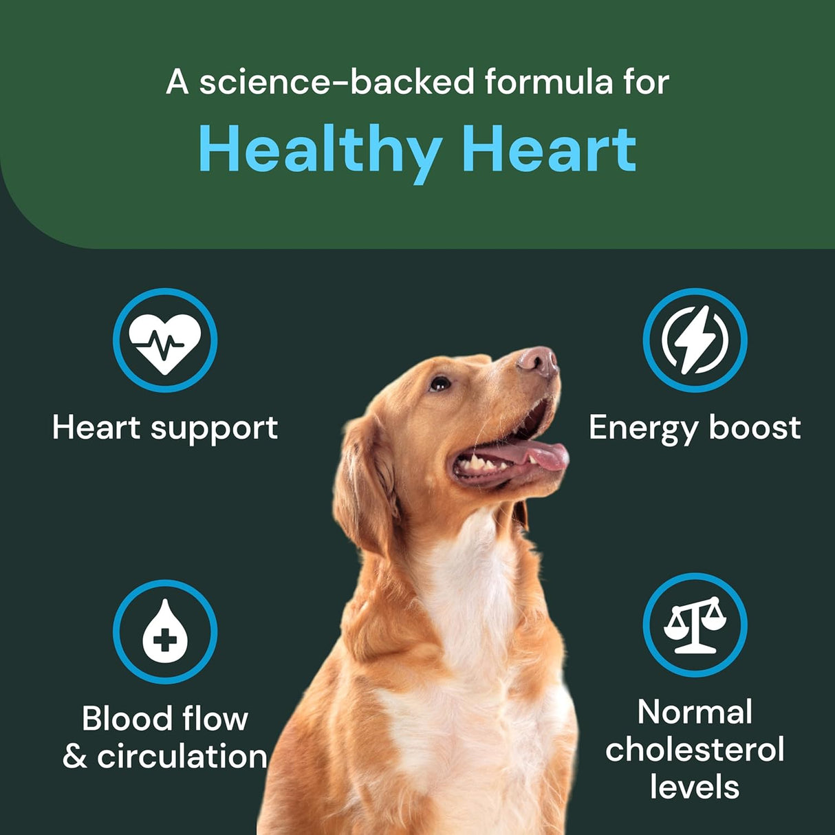 VetriScience Veterinary Strength Healthy Heart 60 Masticables