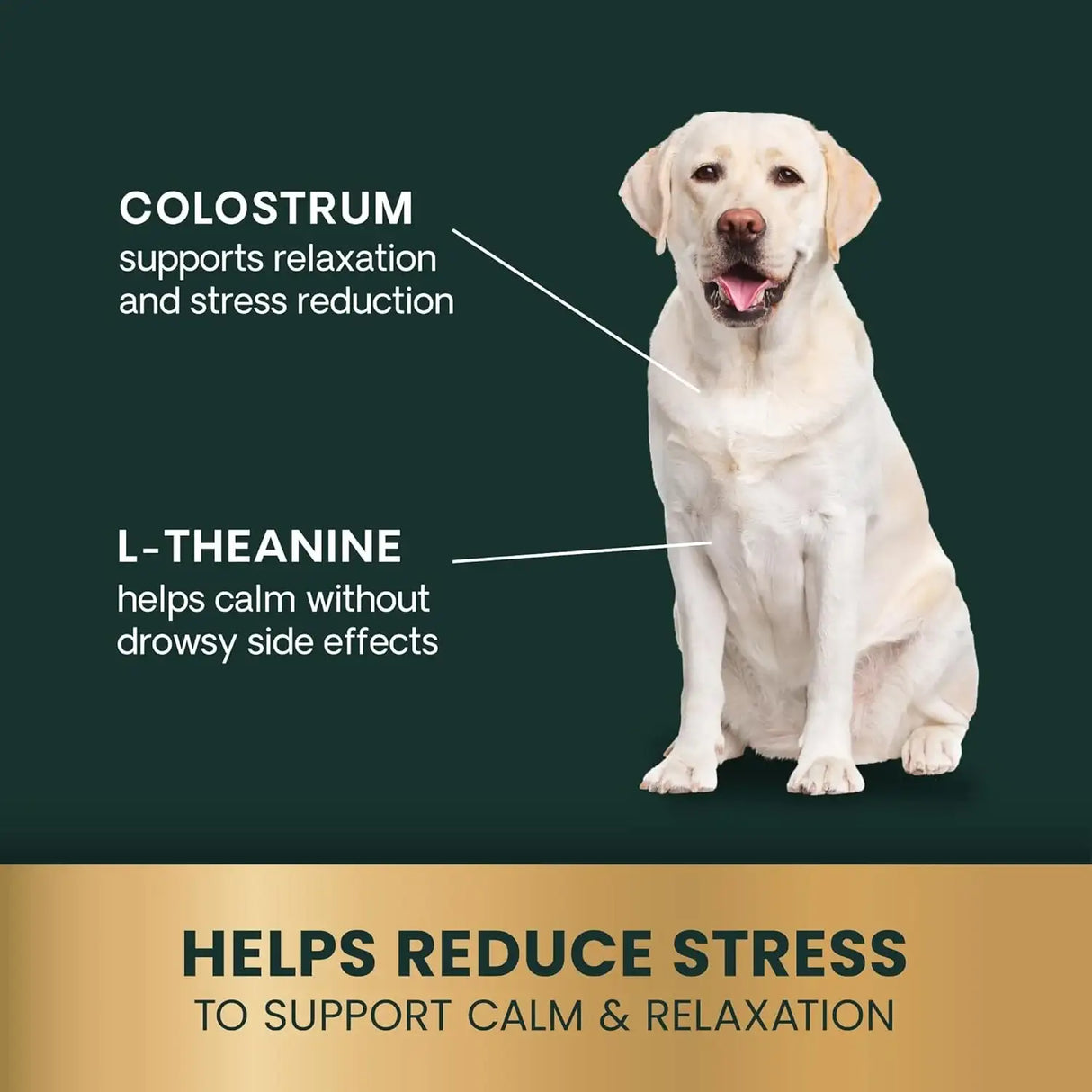 VETRISCIENCE - VetriScience Long Lasting Calm & Confident Calming Chews Peanut Butter 60 Masticables - The Red Vitamin MX - Relajantes Para Perros - {{ shop.shopifyCountryName }}