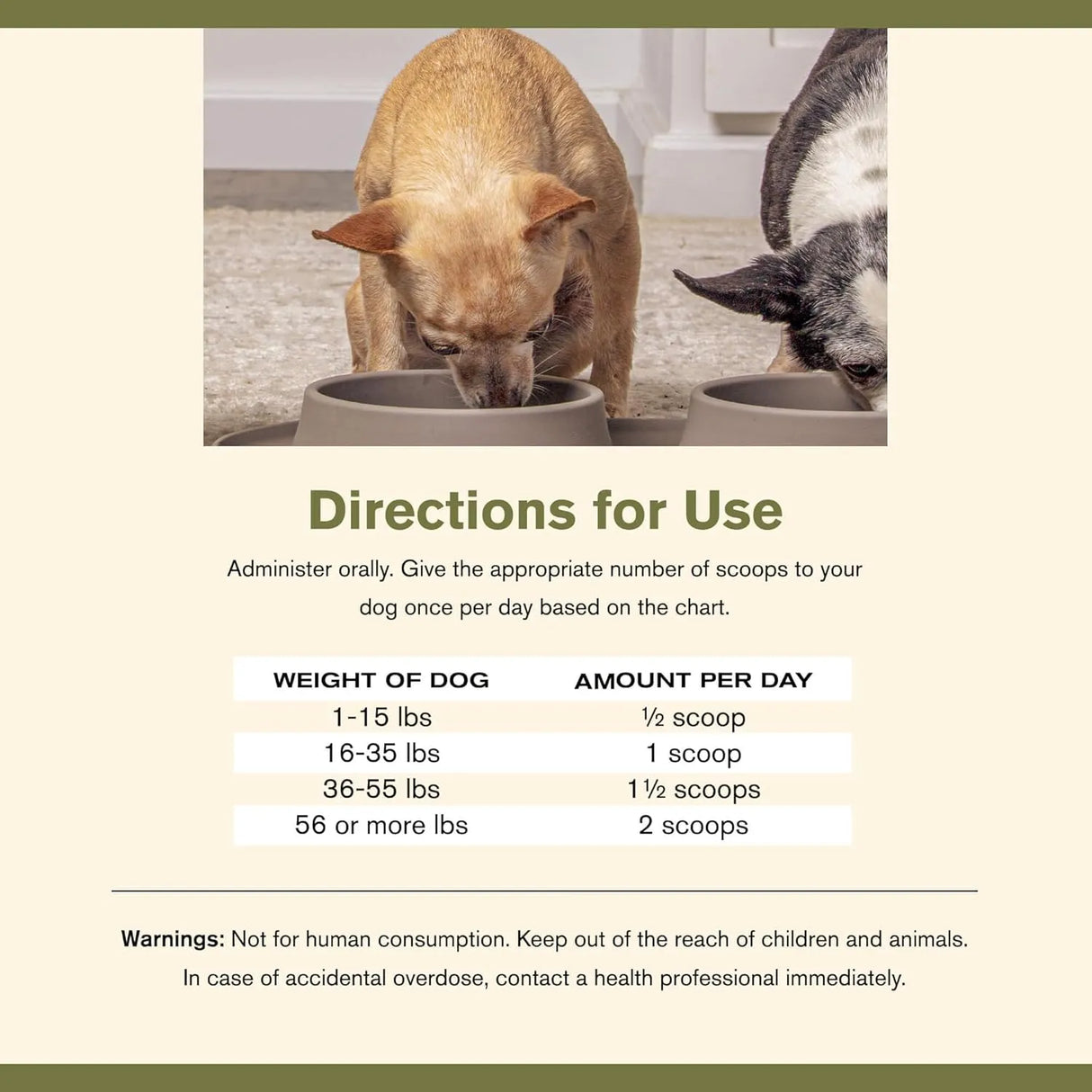 BADLANDS RANCH - BADLANDS RANCH Super Gut Biotics Canine Digestive 30 Servicios 90Gr. - The Red Vitamin MX - Probióticos Para Perros - {{ shop.shopifyCountryName }}