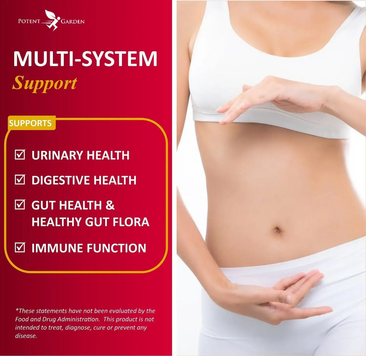 POTENT GARDEN - Potent Garden Urinary Support 60 Capsulas - The Red Vitamin MX - Suplementos Alimenticios - {{ shop.shopifyCountryName }}