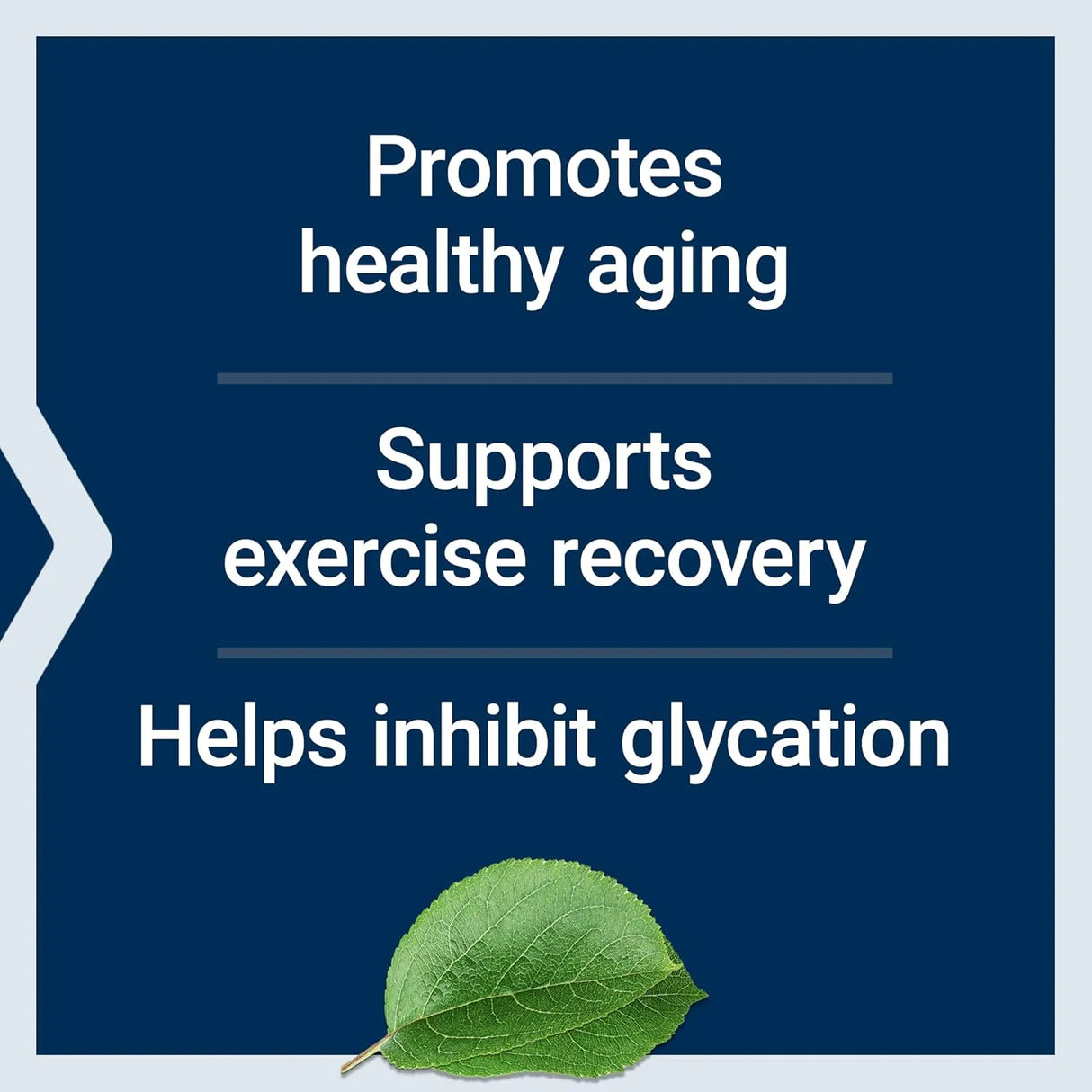 LIFE EXTENSION - Life Extension Carnosine 500Mg. 60 Capsulas - The Red Vitamin MX - Suplementos Alimenticios - {{ shop.shopifyCountryName }}