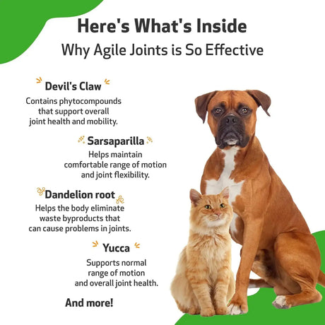 PET WELLBEING - Pet Wellbeing Agile Joints for Dogs 4 Fl.Oz. - The Red Vitamin MX - Cuidado De Cadera Y Articulaciones Para Perros - {{ shop.shopifyCountryName }}